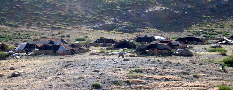 عشایر بومی که به ارتفاعات دالامپر کوچ کرده اند