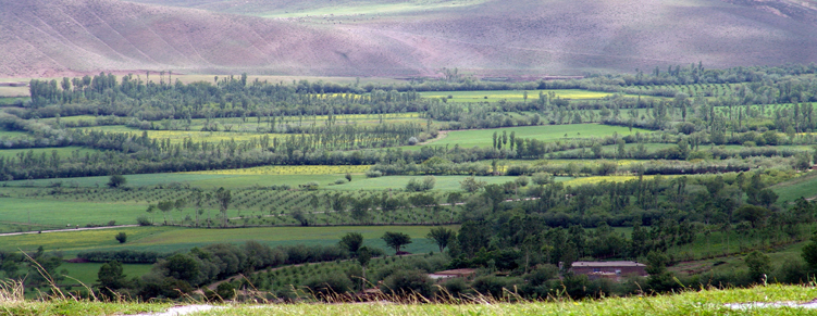سبز دشت مرگور- دید از روستای نویی