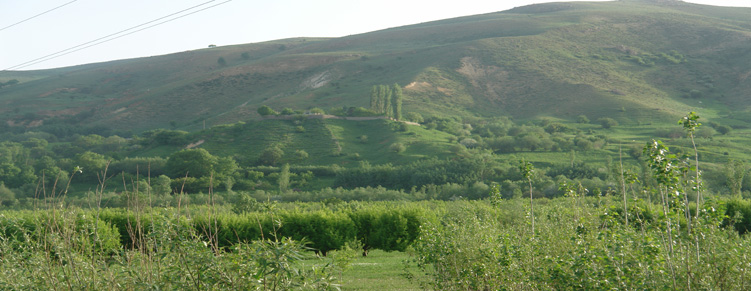 روستای نویی